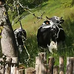 De La Ferme De La Bouille 4*
