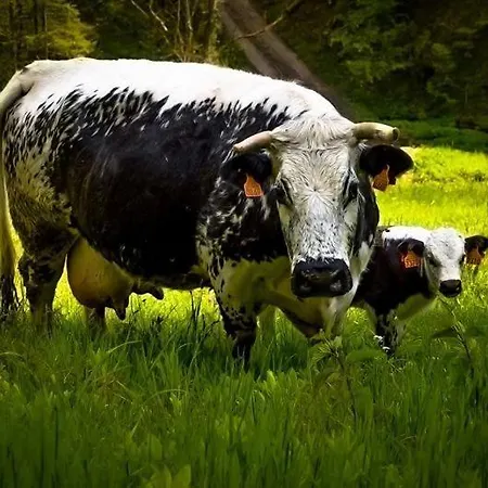 De La Ferme De La Bouille
