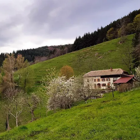 Gasthuis De La Ferme De La Bouille 4*