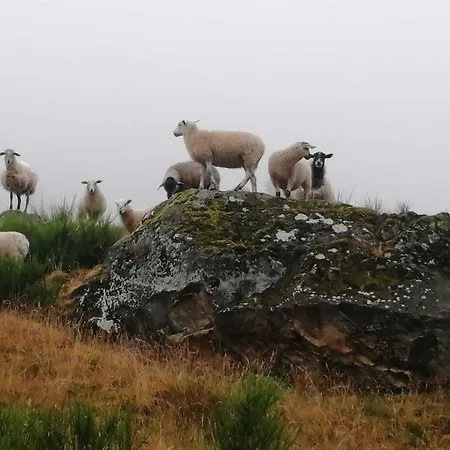 De La Ferme De La Bouille Casa de hóspedes *
