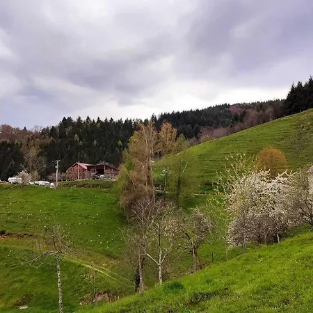 De La Ferme De La Bouille Casa de hóspedes