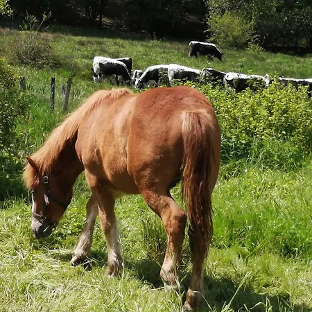De La Ferme De La Bouille Casa de hóspedes *