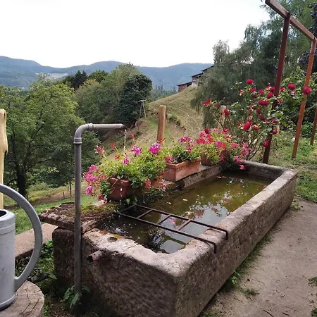 Gasthuis De La Ferme De La Bouille