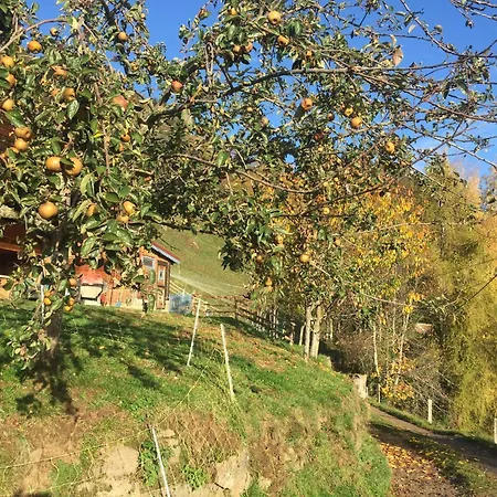 Casa de hóspedes De La Ferme De La Bouille Sainte-Croix-aux-Mines
